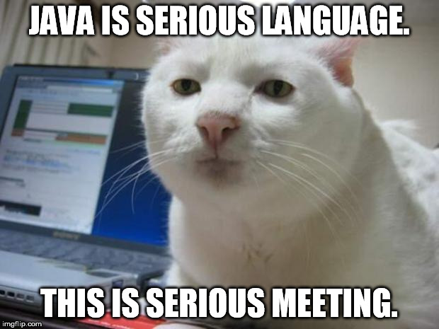 Java is serious language. This is serious meeting.